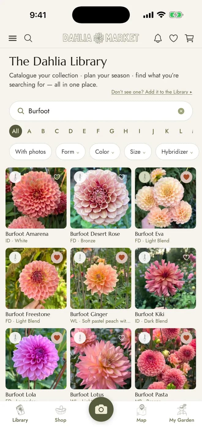 The Dahlia Library in the app, searched