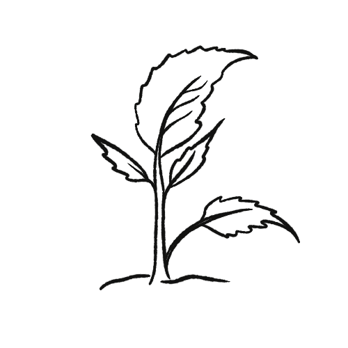Grow